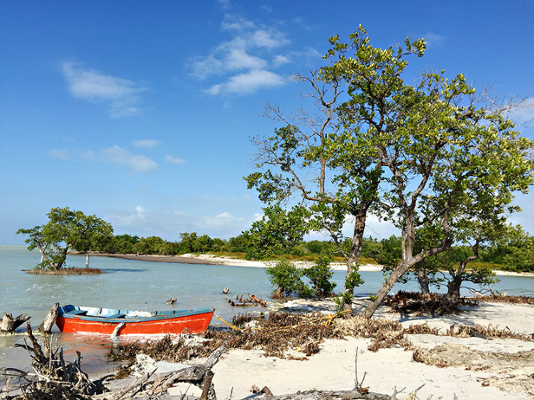 AndyBarbie0034VacationBlog