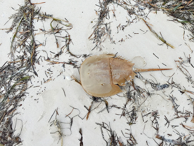 AndyBarbie0040VacationBlog