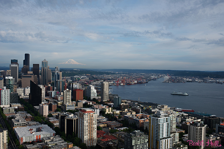 Seattle, WA skyline from Space Needle with Mt. Rainier in the background