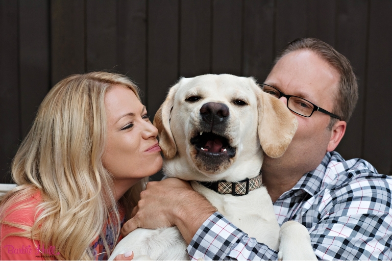 Funny faces made by dogs!  Barbie Hull Photography family portrait photographer. 